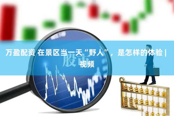 万盈配资 在景区当一天“野人”，是怎样的体验 | 视频