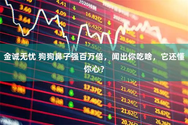 金诚无忧 狗狗鼻子强百万倍，闻出你吃啥，它还懂你心？