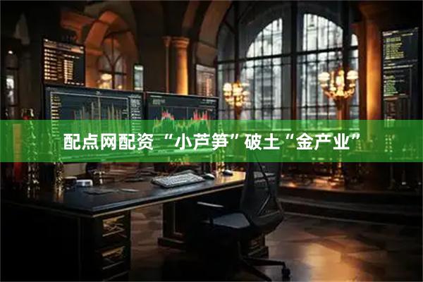 配点网配资 “小芦笋”破土“金产业”