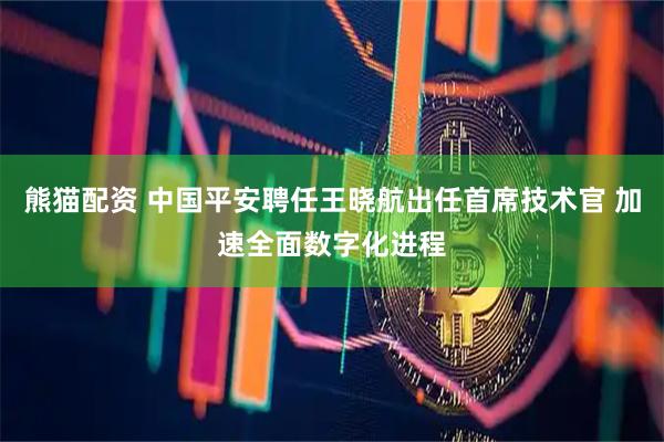 熊猫配资 中国平安聘任王晓航出任首席技术官 加速全面数字化进程